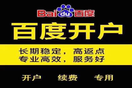 竞价推广实战：案例分析行业领军企业的成功之道